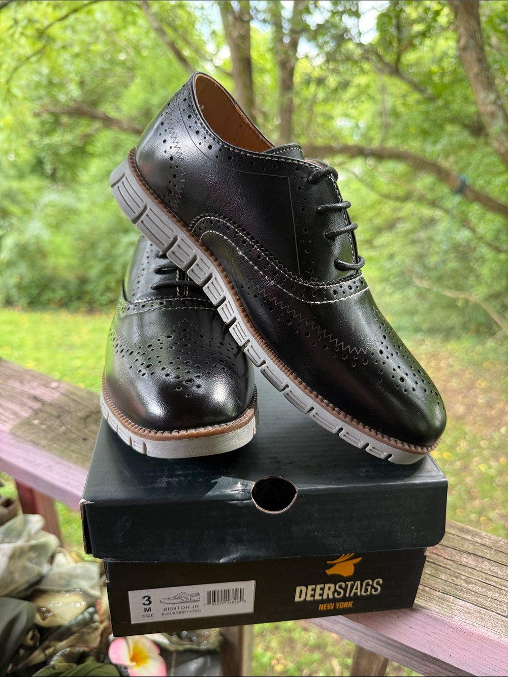 NWT in Box Deer Stags Black Brogue Wingtip Shoes for Boys size 3 M